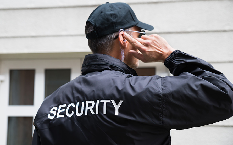 Curs Agent de Securitate